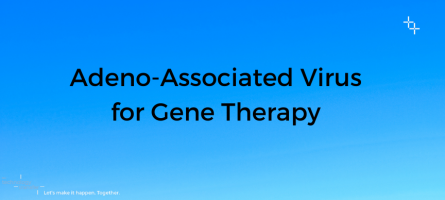 Adeno-Associated Virus for Gene Therapy 
