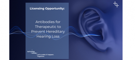 Licensing Opportunity: Antibodies for Therapeutic to Prevent Hereditary Hearing Loss