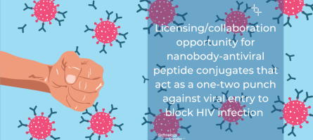 Licensing/collaboration opportunity for nanobody-antiviral peptide conjugates that act as a one-two punch against viral entry to block HIV infection 