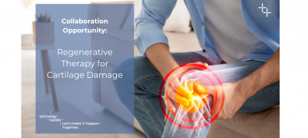 Collaboration Opportunity: Regenerative Therapy for Cartilage Damage. Man holding knee in pain. 