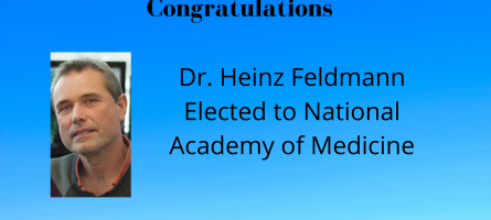 Dr. Feldmann Elected to the National Academy of Medicine